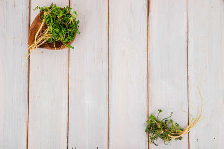 Spring vegetables and herbs, close up of nutritious greens sprouting in spring. 137の写真素材