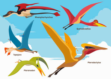 Set of wild animal images cartoon character illustration 004のイラスト素材