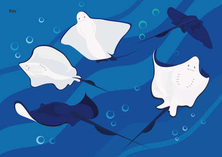 Set of wild animal images cartoon character illustration 010