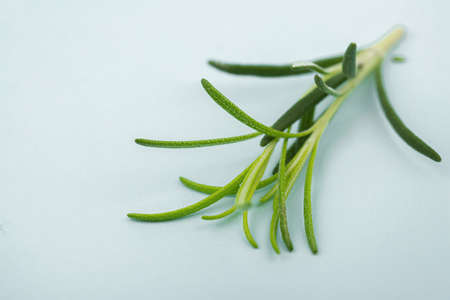 Herbal cosmetic concept, inner or skin beauty careの写真素材