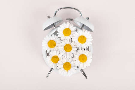 Herbal cosmetic concept, inner or skin beauty careの写真素材