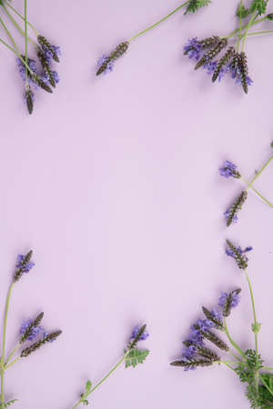 Herbal cosmetic concept, inner or skin beauty care 181