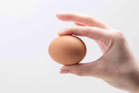 Close up of different kind of eggs 025