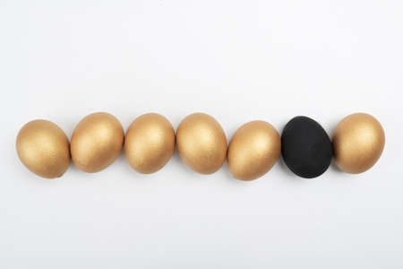 Close up of different kind of eggs 028