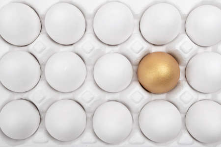 Close up of different kind of eggs 188の写真素材