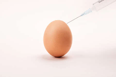 Close up of different kind of eggs 135の写真素材