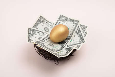 Close up of different kind of eggs 206の写真素材