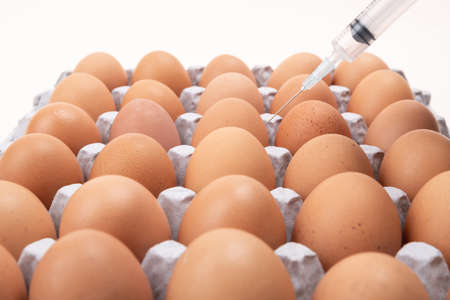 Close up of different kind of eggs 204の写真素材