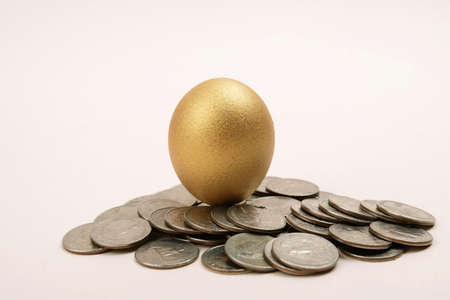 Close up of different kind of eggs 208