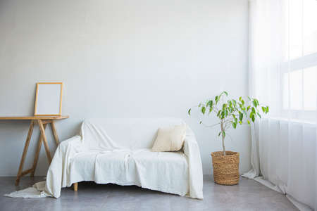 Modern interior concept of living room, room, various interior decorations 012の写真素材