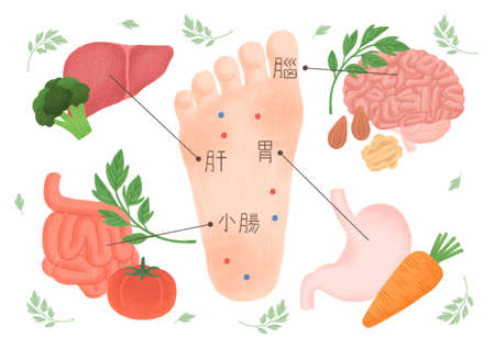 Alternative medicine and treatment concept in flat illustration 003の写真素材