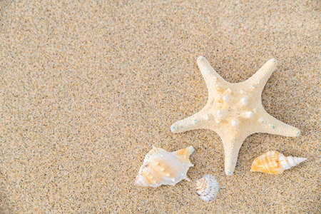 Summer holiday concept, Summer beach accessories 008の写真素材