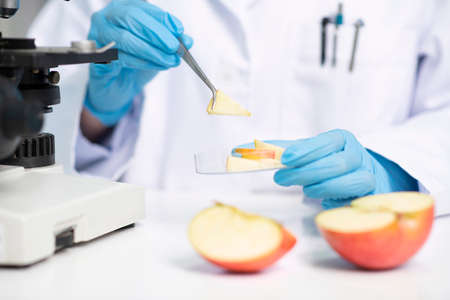 Science, chemistry, biology, and medicine concept, scientist with equipment and science experiments 189の写真素材