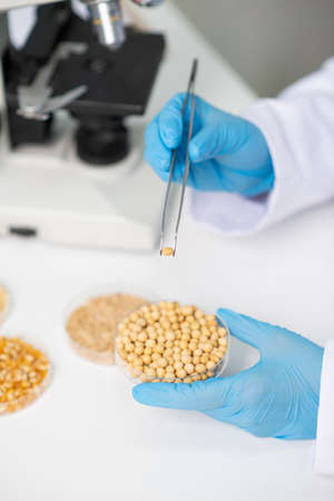 Science, chemistry, biology, and medicine concept, scientist with equipment and science experiments 175の写真素材