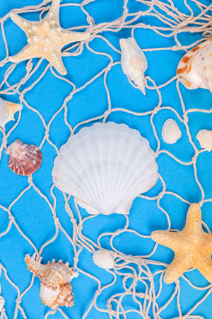 Summer holiday concept, Summer beach accessories 085の写真素材