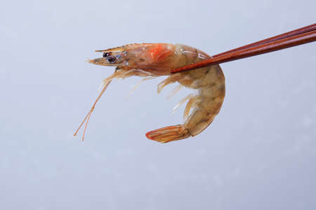 Delicious Korean food, a collection of various Korean dishes 006の写真素材