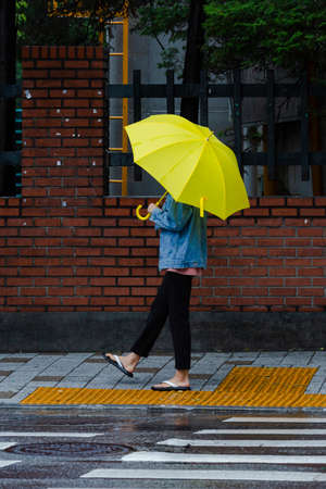 Rainy season city landscape 076の写真素材