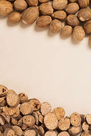 Various aromatic herbs and spices top view 028の写真素材