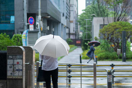 Rainy season city landscape 102