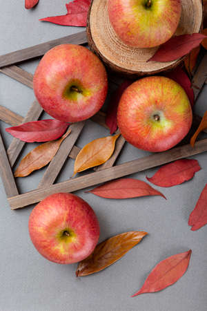 Different foods ingredients of Korean Thanksgiving dayの写真素材