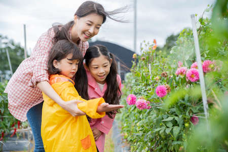 Portrait of happy cheerful family, young mother and two daughters 261