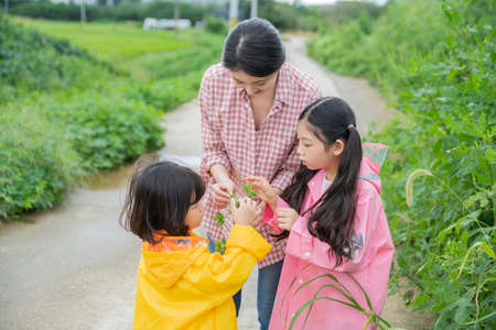Portrait of happy cheerful family, young mother and two daughters 272の写真素材