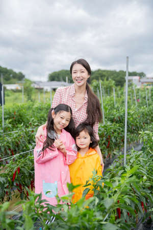Portrait of happy cheerful family, young mother and two daughters 259の写真素材
