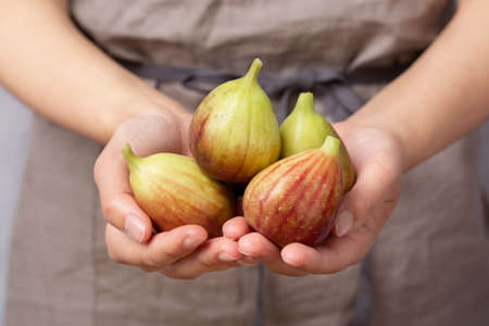 Fresh sweet fig fruits, Healthy Organic fruit 036の写真素材