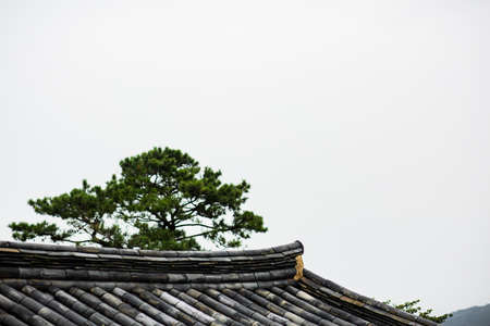 Green nature in South Korea, summer forest and architecture 013の写真素材