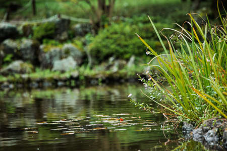 Green nature in South Korea, summer forest and architecture 023の写真素材