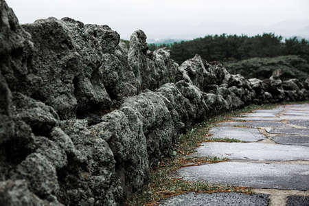 Green nature in South Korea, summer forest and architecture 172の写真素材