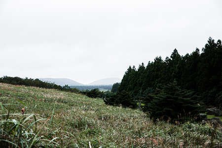 Green nature in South Korea, summer forest and architecture 166の写真素材