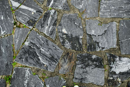 Green nature in South Korea, summer forest and architecture 203の写真素材