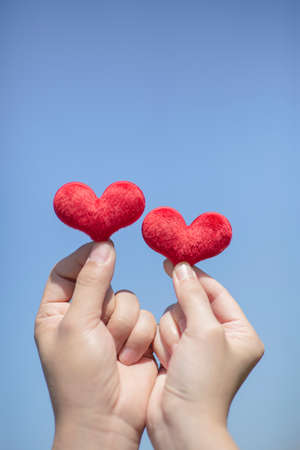 Concept of hands life, hand showing various gestures 063の写真素材