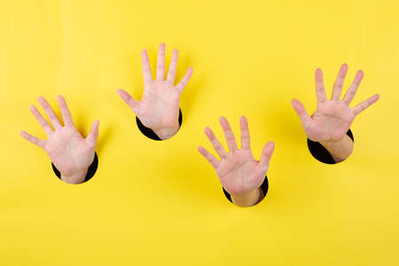 Concept of hands life, hand showing various gestures 135の写真素材