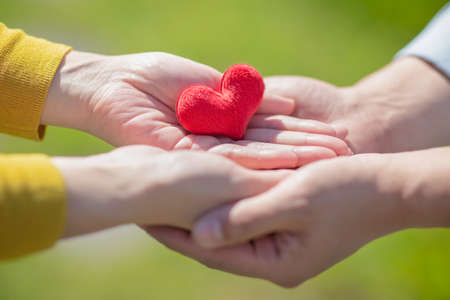 Concept of hands life, hand showing various gestures 066の写真素材