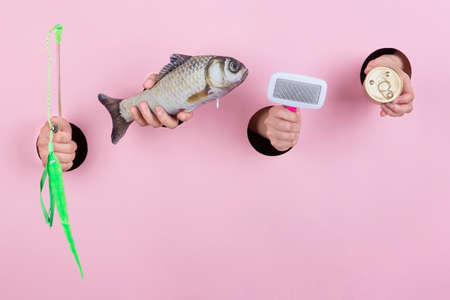 Concept of hands life, hand showing various gestures 181の写真素材