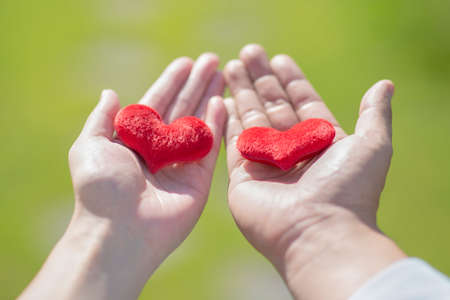 Concept of hands life, hand showing various gestures 065の写真素材