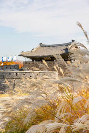 colorful autumn scenery