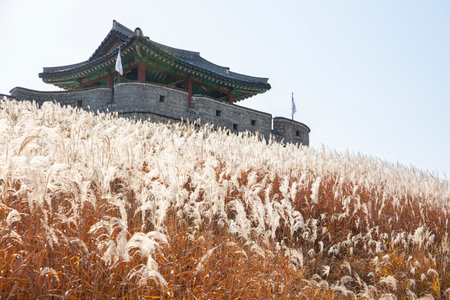 colorful autumn scenery