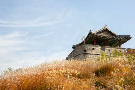 colorful autumn sceneryの写真素材