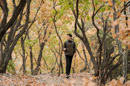Asian handsome man trekking, climbing autumn mountain