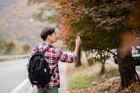 handsome Asian male model autumn travel concept