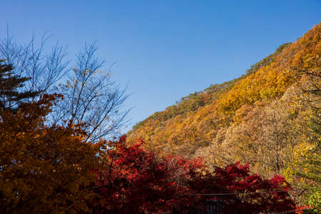 colorful Autumn sceneryの写真素材