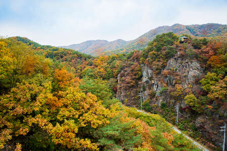 colorful Autumn sceneryの写真素材