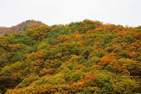 colorful Autumn sceneryの写真素材