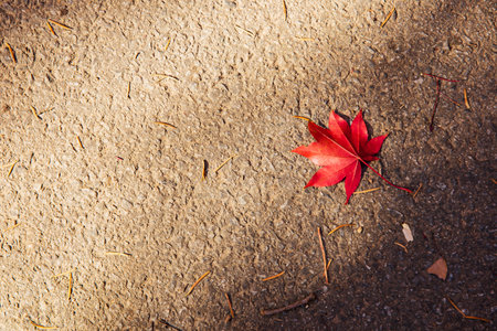colorful Autumn sceneryの写真素材