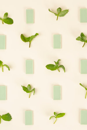 mint chocolate seriesの写真素材