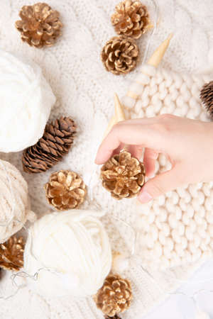 warm winter and Chritmas themed objects