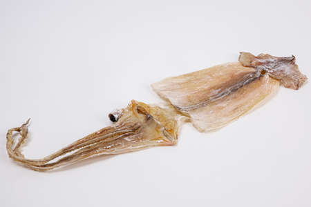 dried squid